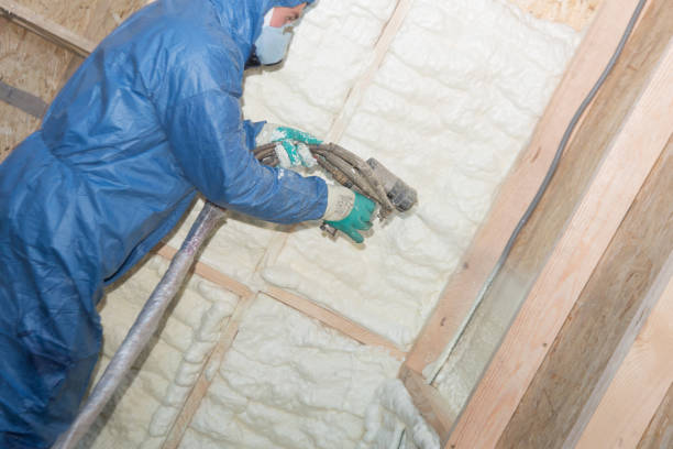 Thermal Imaging for Insulation Gaps