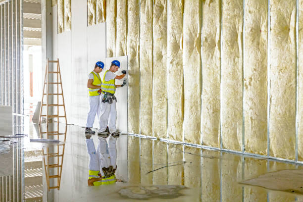 Trusted Chanhassen, MN Foam Insulation Services Experts